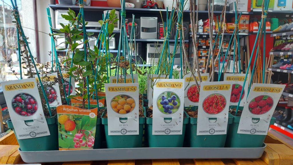 Descubre la Experiencia de Cultivar en Casa con los Nuevos Arboles Frutales y Patatas para Siembra de Aldigón 1